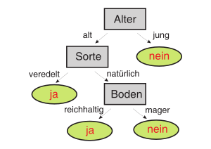 Entscheidungsbäume