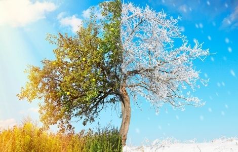 Shops_Vorbereitungen auf das Weihnachtsgeschäft im Sommer-shi