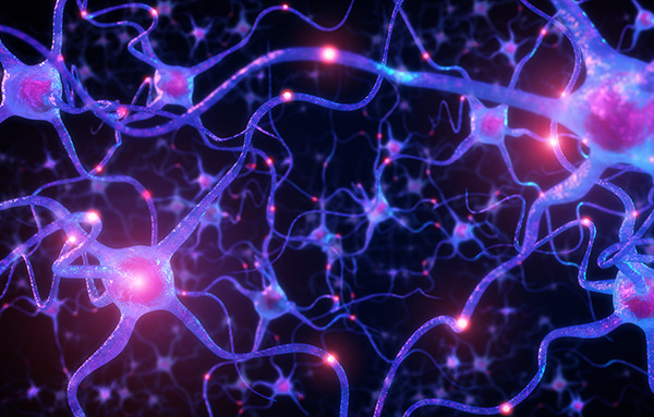 Neuronale Suche