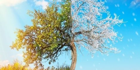 Shops_Vorbereitungen auf das Weihnachtsgeschäft im Sommer-shi